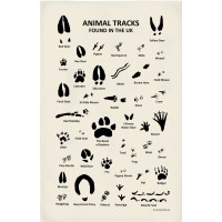 Animal Tracks Tea Towel